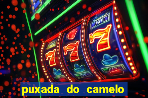 puxada do camelo no jogo do bicho